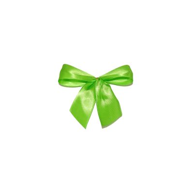 2-Flügel-Minischleife