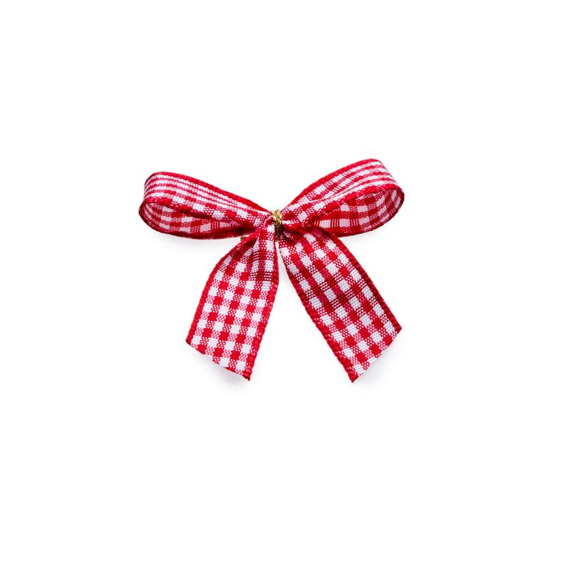 2-Flügel-Schleife kariert