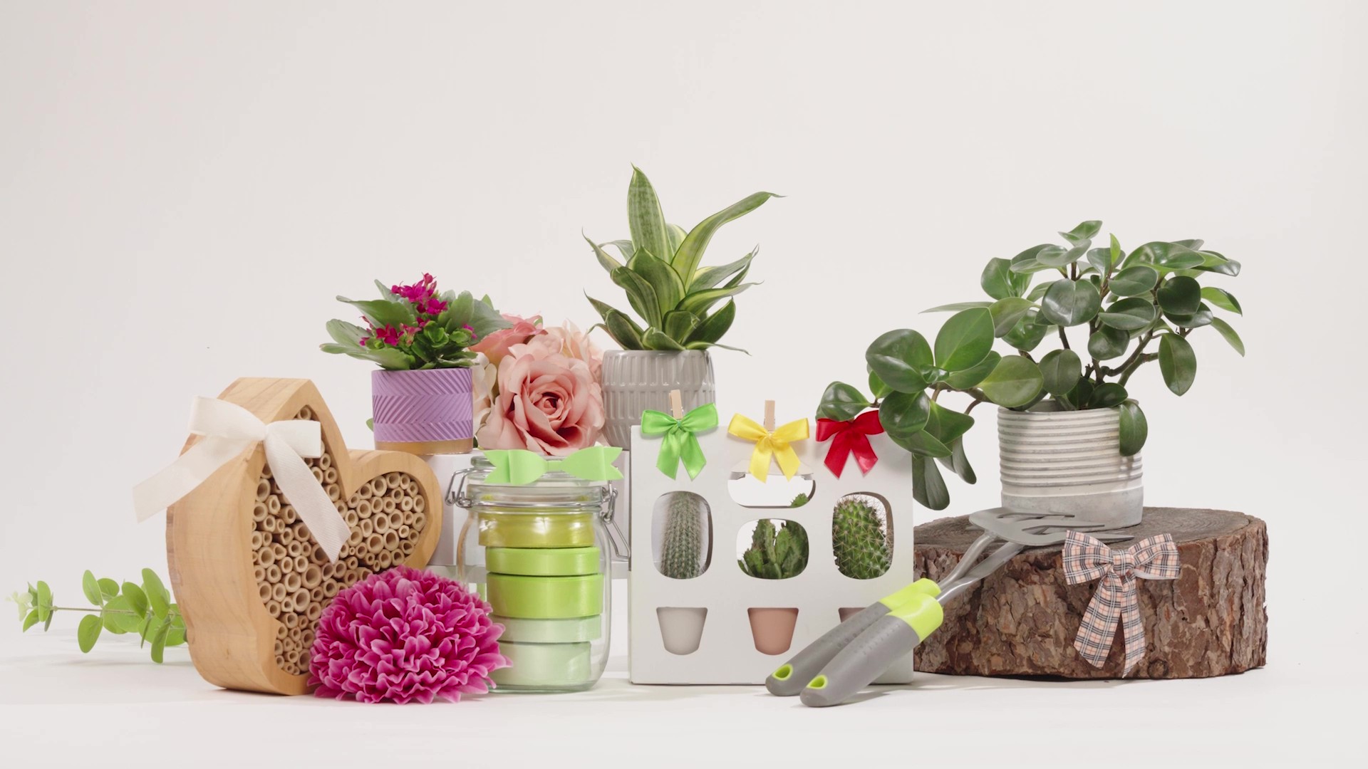 Floristik & Gartencenter